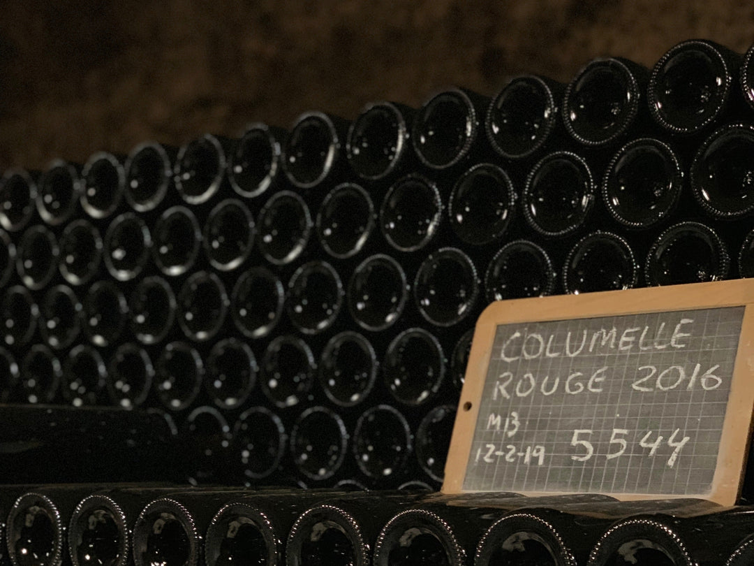 Vol.8 ワインの飲み頃、保存方法について