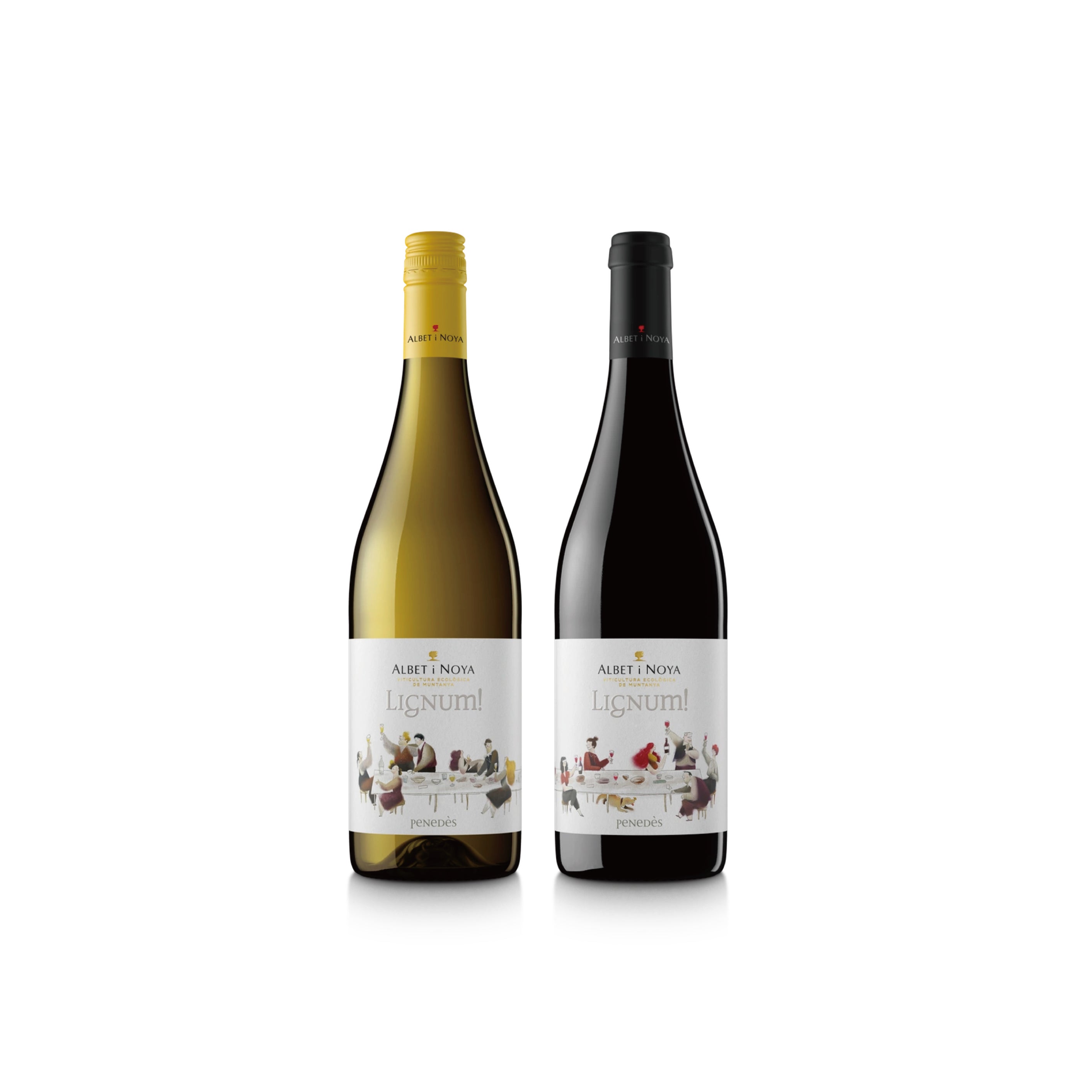 食材を楽しむ家飲みワイン 赤白セット – illariiy