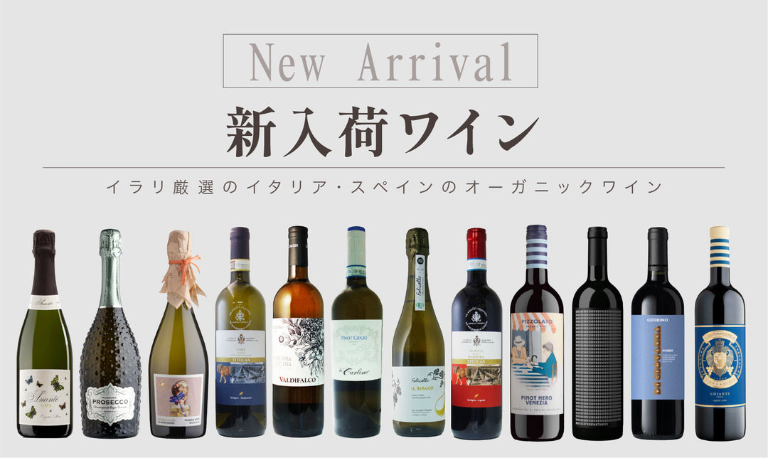 【新入荷】イラリセレクションに新しいワインが加わりました