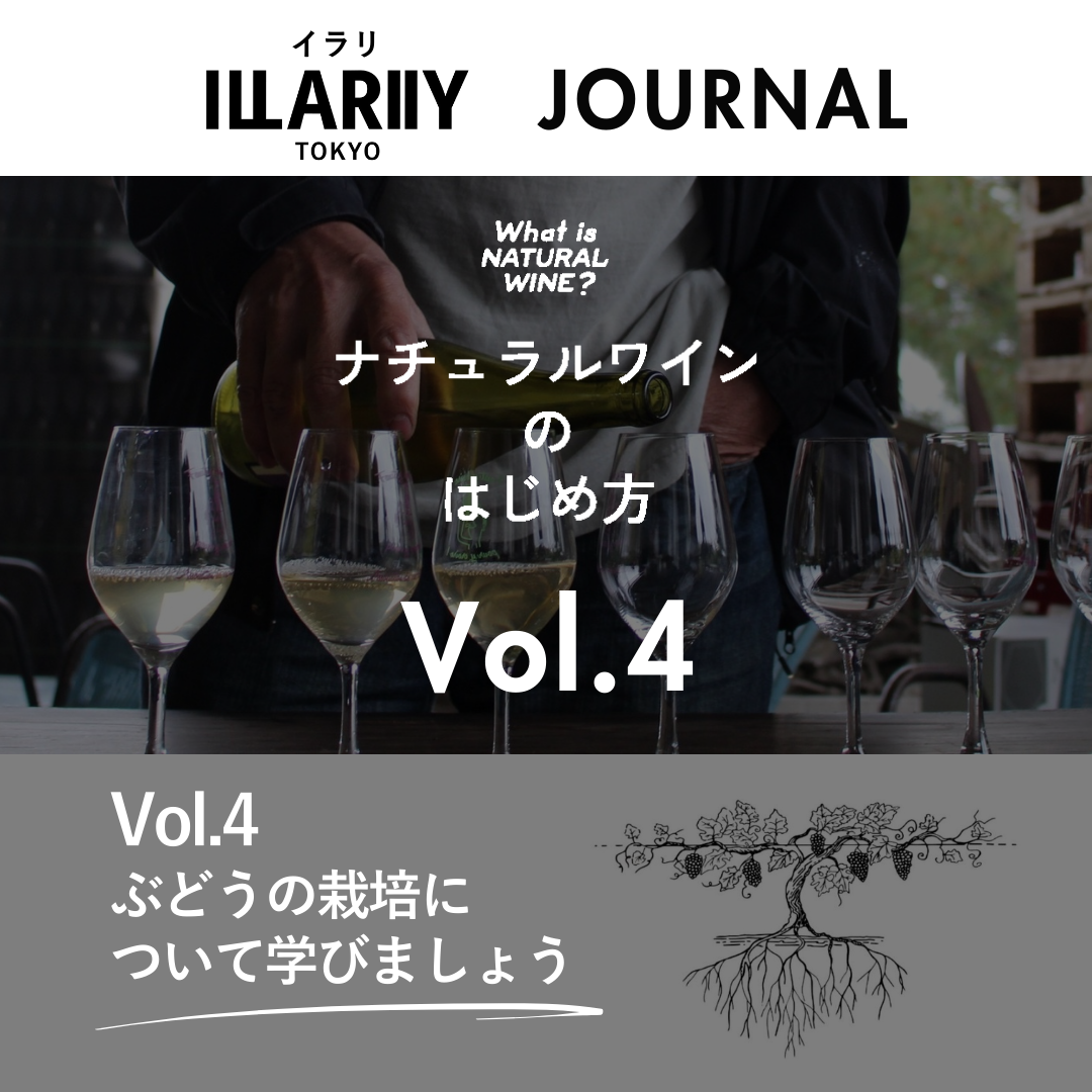 Vol.4　ワインの原料は葡萄だけ