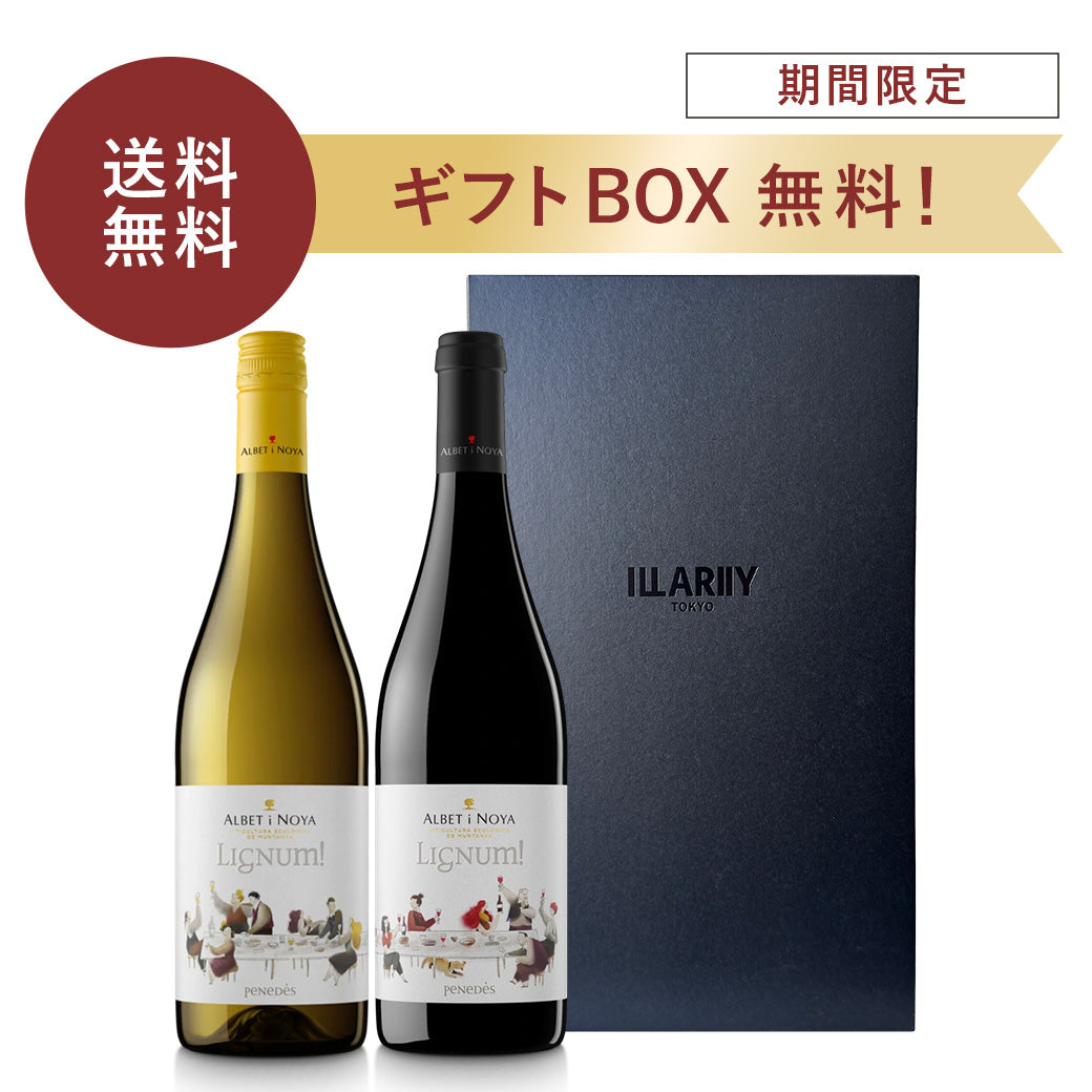 【期間限定】送料無料・ギフト箱無料！食材を楽しむ家飲みワイン 赤白セット (ギフトBOX付き)