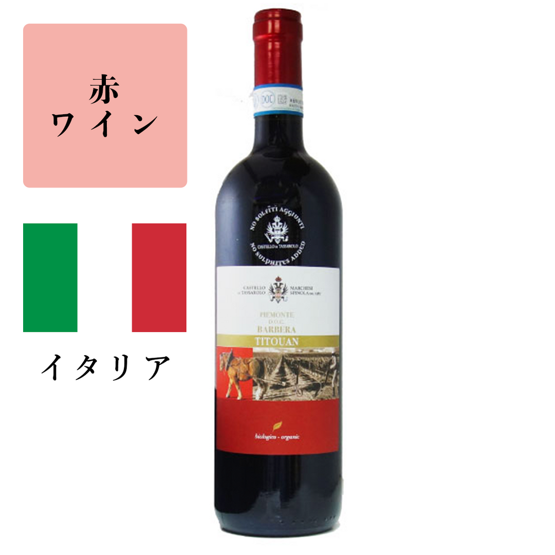 バルベーラ　ノー・ソルフィティ（赤） 2021<br><span>イタリア</span>