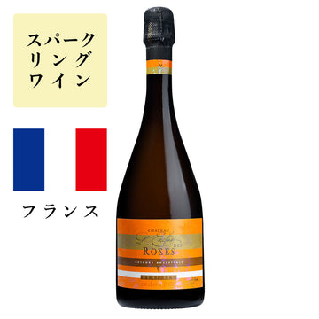 ガイヤック メトード・アンセストラル ドゥミ・セック (白泡)<br><span>フランス</span>