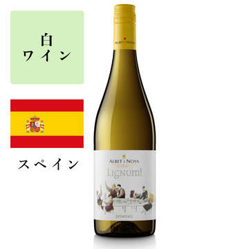 LIGNUM BLANC 2022 ECO ／リグナム・ブラン（白） 2022<br><span>スペイン</span>