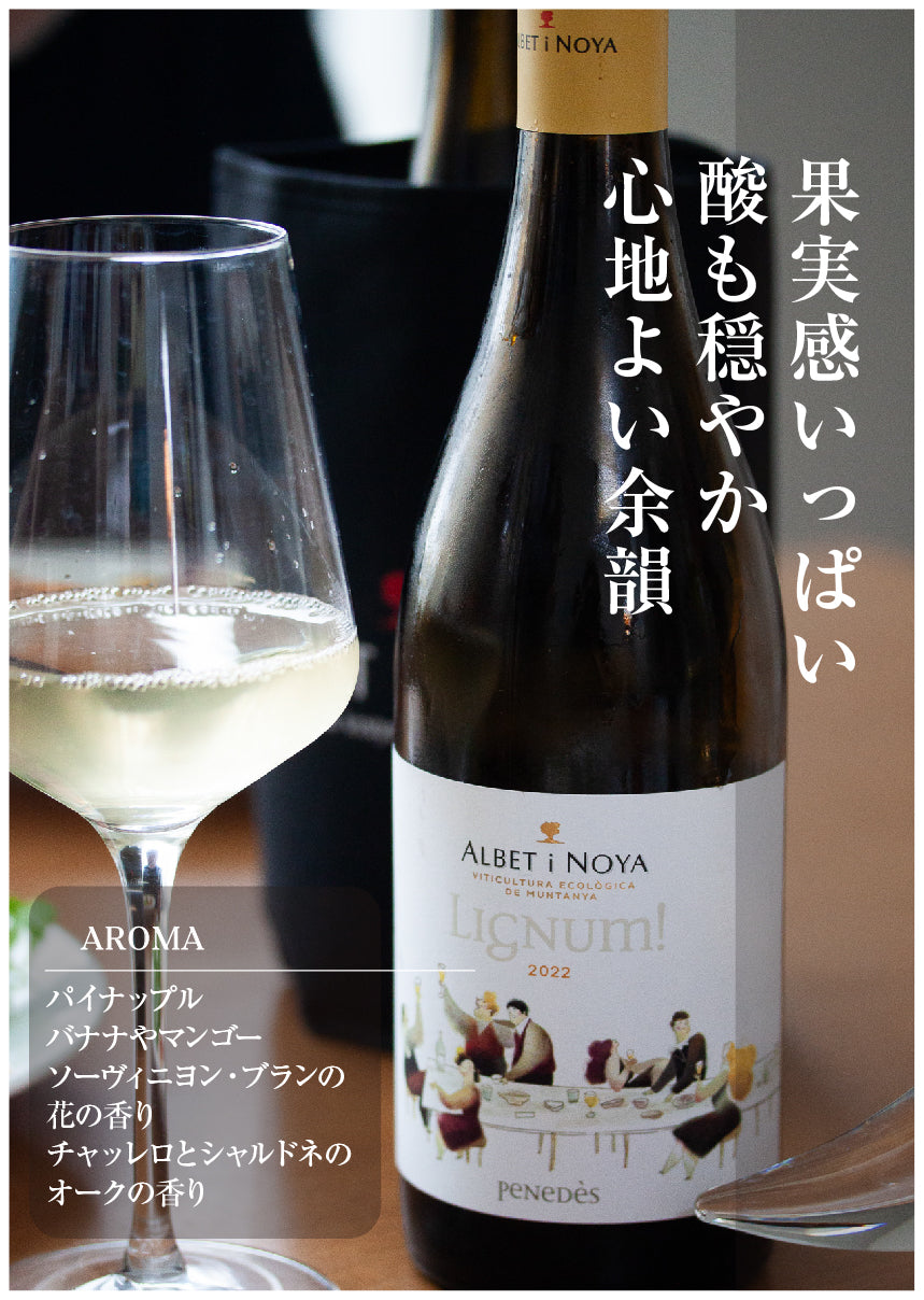 LIGNUM BLANC 2024ECO ／リグナム・ブラン（白） 2024<br><span>スペイン</span>
