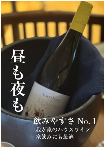 LIGNUM BLANC 2022 ECO ／リグナム・ブラン（白） 2022<br><span>スペイン</span>