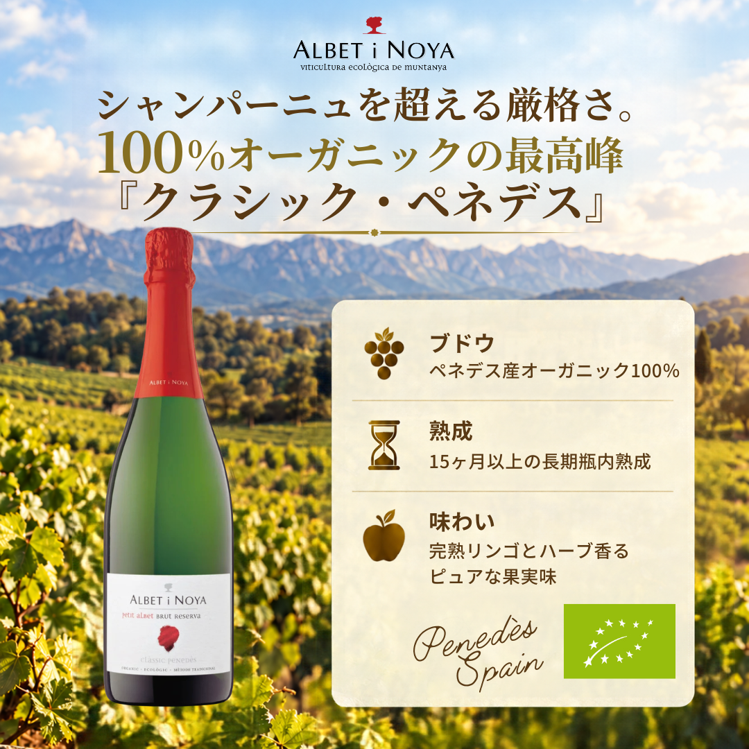 次郎と飲む、プティ・アルベ。