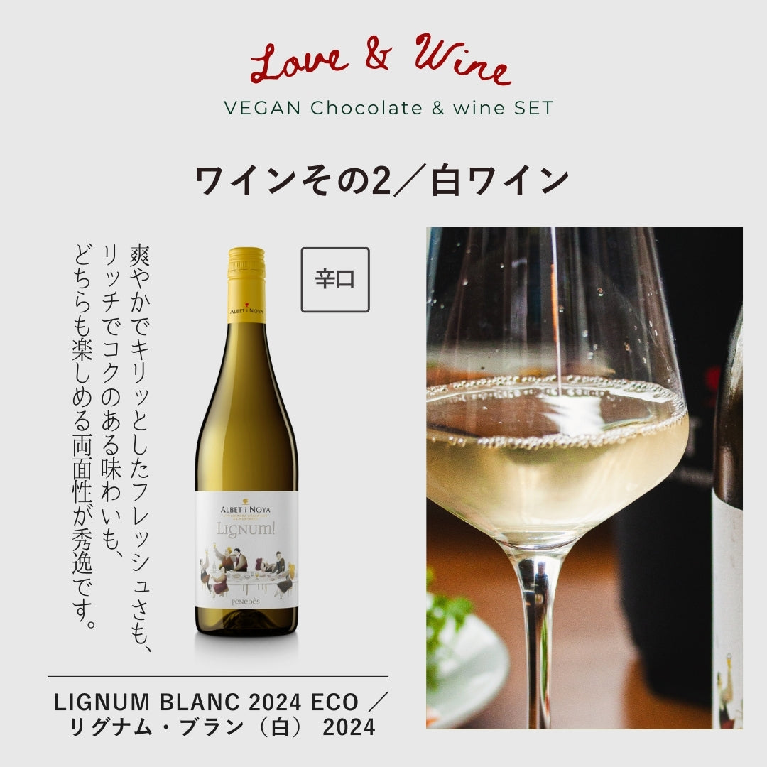 NOÉ NO OMISE×ILLARIIY<br>【ビーガンチョコレート】＆選べるワイン（泡赤白）のセット【限定20セット】