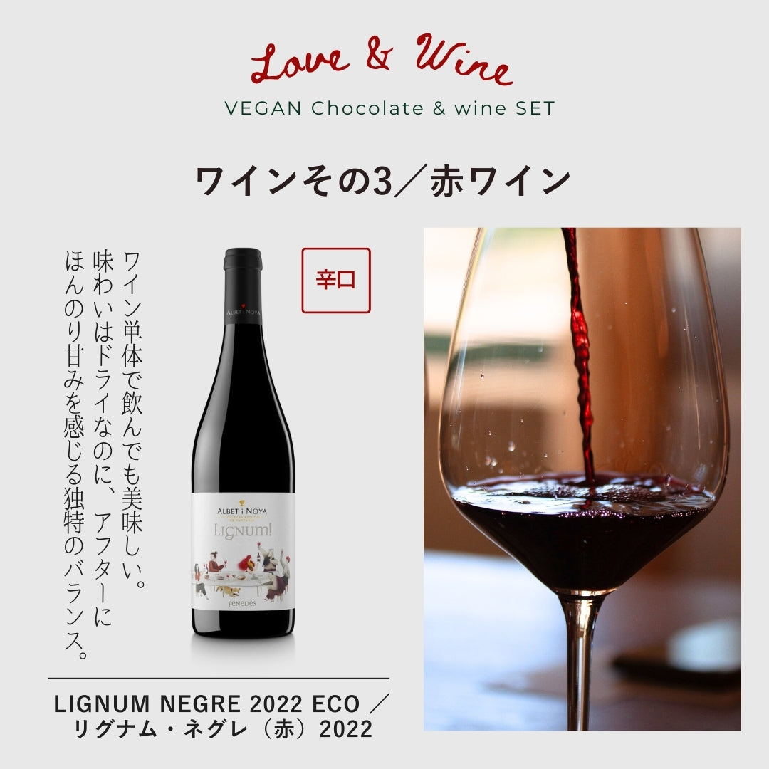 NOÉ NO OMISE×ILLARIIY<br>【ビーガンチョコレート】＆選べるワイン（泡赤白）のセット【限定20セット】