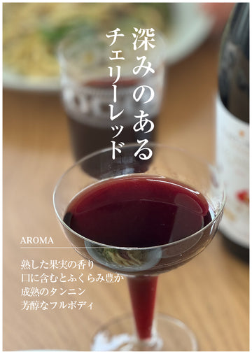 LIGNUM NEGRE 2020 ECO ／リグナム・ネグレ（赤）2020<br><span>スペイン</span>